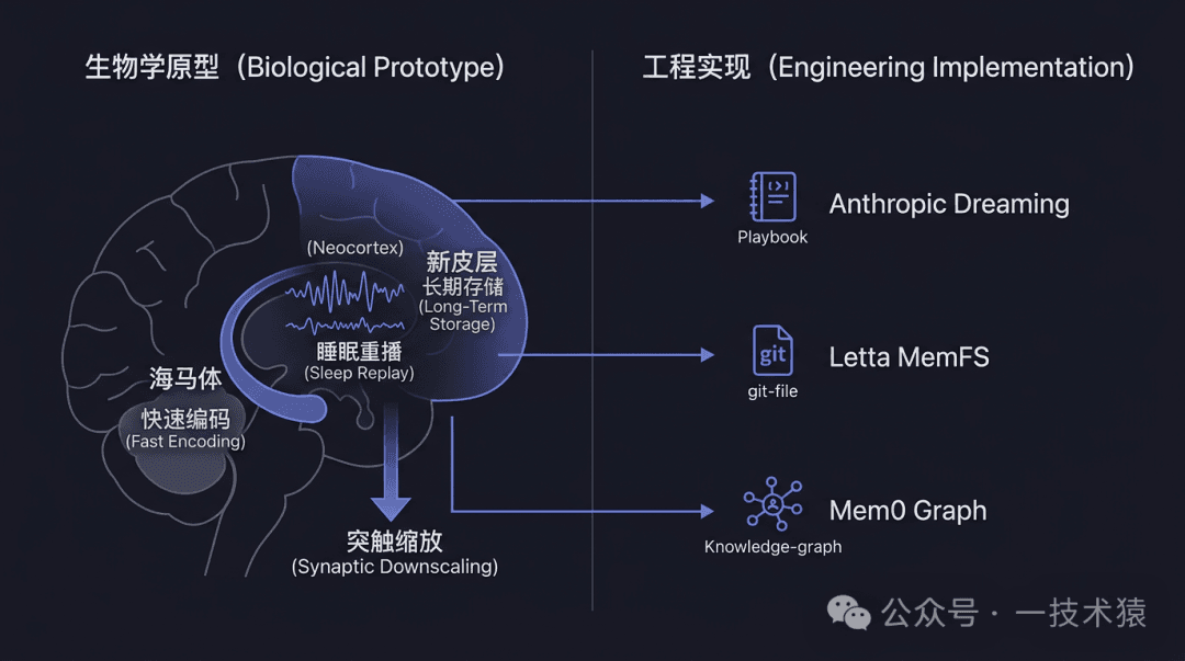 【万字长文】Agent Memory 的"做梦"机制——会话间记忆整合